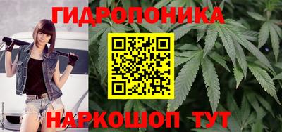 синтетический гашиш Кингисепп