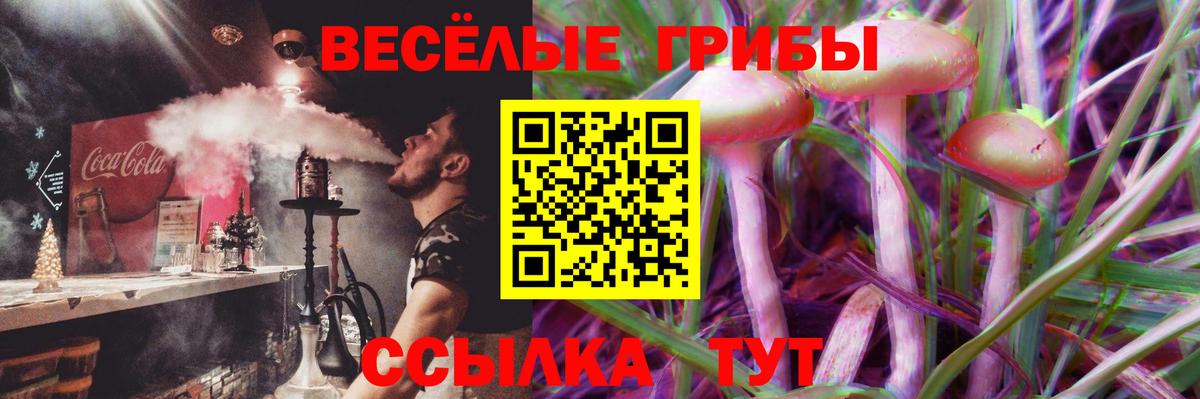 Галлюциногенные грибы Magic Shrooms Елизово