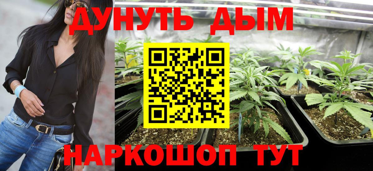 Бошки Шишки марихуана  Бошки Шишки Bruce Banner  Канабис Amnesia  Бошки марихуана индика  Вход с VPN  Елизово 